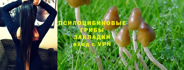 синтетический гашиш Володарск