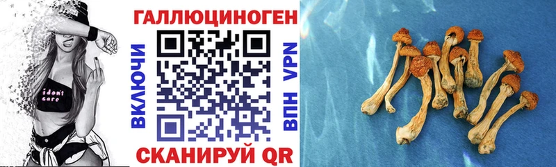 omg ССЫЛКА  Вышний Волочёк  Галлюциногенные грибы GOLDEN TEACHER 